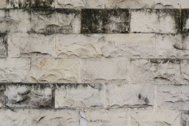 Yosun ve küflü eski kireç taşı duvar..