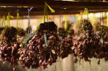 Taze toplanmış kırmızı soğanların (arpacık soğanları) demetlere bağlanmış ve kuruması için asılmış detaylı bir fotoğrafı. Tedavi olarak bilinen bu geleneksel hasat sonrası tedavi, ampullerin korunmasına ve lezzetlerinin artmasına yardımcı olur.