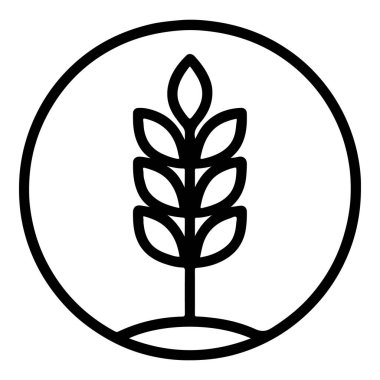 Buğday Bitkisi Organik Hat Simgesi Vektörü