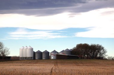Sonbaharda ya da hasattan sonra sonbaharda bir çiftlik. Kulübeler ve tahıl ambarları kışı geçirmeye hazır nöbetçiler gibi duruyor. Bir kara bulut yığını geliyor ve açık mavi gökyüzünün yerini alıyor..