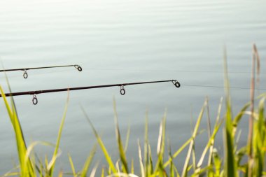 İki olta kamışı, sakin bir su kütlesinin üzerine uzanır, ön planda uzun yeşil çimenler, derinlik ve doğal doku ekler. Suyun pürüzsüz yüzeyi ve yumuşak dalgalar dışarıda huzurlu bir atmosfer yaratıyor.