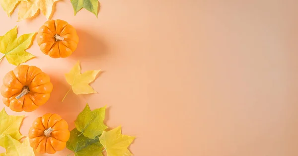 Pastel Turuncu Arka Planda Kuru Yapraklar Balkabağı Ile Şükran Günü — Stok fotoğraf