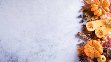 Gri taşlı balkabağı ve kuru yaprakların Şükran Günü süslemesi. Düz konum, kopyalama alanı olan üst görünüm.