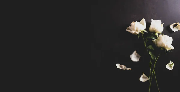 Heart broken, Love and Valentines day concept. Dried white rose on dark stone background. Accompanying sadness article.