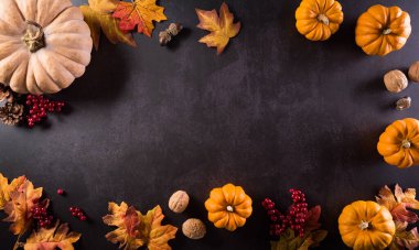 Sonbahar kompozisyonu. Balkabağı, pamuk çiçekleri ve arka planda sonbahar yaprakları. Düz konum, kopyalama alanı olan üst görünüm