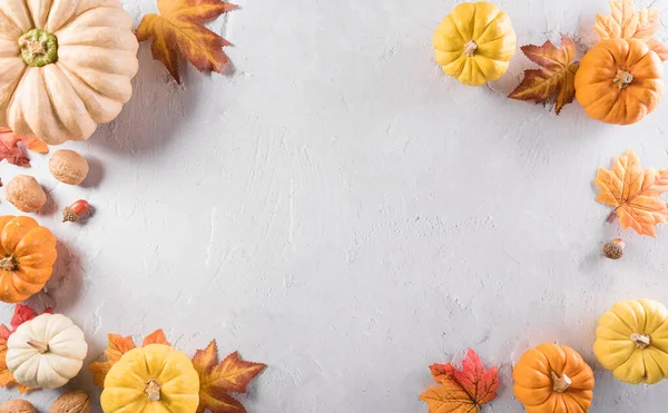 Herbstliche Komposition Kürbis Herbstblätter Und Apfel Auf Steingrund Flache Lage — Stockfoto