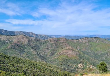 Güney Cevennes, Occitanie, Fransa 'da yeşil tepeleri ve mavi gökyüzü olan ormanlık bir dağ vadisinin geniş manzara manzarası