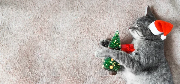Béžové Přikrývce Leží Šedá Kočka Klobouku Santa Clause Dárkem Vánočním — Stock fotografie