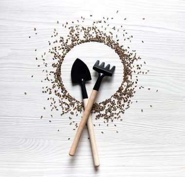 Hafif bir ahşap arka planda, dereotu tohumları bir bahçe ekme aracı (kürek ve tırmık) etrafına saçılmıştır. kavram: kural yerleştirme