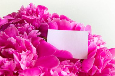 Beyaz kartpostallı pembe şakayık demeti. aşk iletisi kopyalama alanı