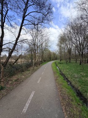 Ağaçlar ve çimlerle çevrili yeşil bir parkta kıvrımlı yaya yolu. Doğa, yürüyüş, rahatlama ve kentsel yeşil alanlar için ideal bir açık hava sahnesi..
