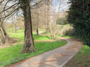 Ağaçlar ve çimlerle çevrili yeşil bir parkta kıvrımlı yaya yolu. Doğa, yürüyüş, rahatlama ve kentsel yeşil alanlar için ideal bir açık hava sahnesi..