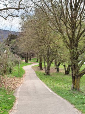 Ağaçlar ve çimlerle çevrili yeşil bir parkta kıvrımlı yaya yolu. Doğa, yürüyüş, rahatlama ve kentsel yeşil alanlar için ideal bir açık hava sahnesi..