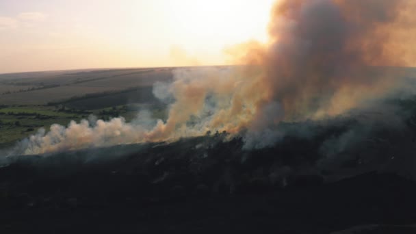 Nuvole di fumo sopra il campo di combustione asciutto, disastri naturali, incendi. Natura ardente con fuoco, vista aerea — Video Stock
