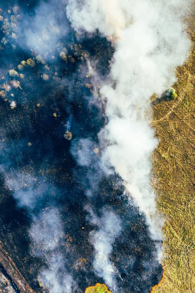 Πυρκαγιά, καύση ξηρού χόρτου και δέντρων, φυσική καταστροφή, εναέρια θέα, κάθετη εικόνα — Φωτογραφία Αρχείου