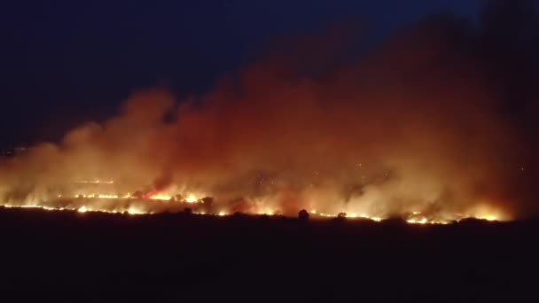 Fiamme di incendi boschivi massicci, vista aerea di notte. Incendio della natura nella stagione secca — Video Stock