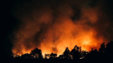 Geceleri orman yangını, orman yangınının kırmızı ve sarı alevi, iklim değişikliği yüzünden yanan ağaçlar ve küresel ısınma