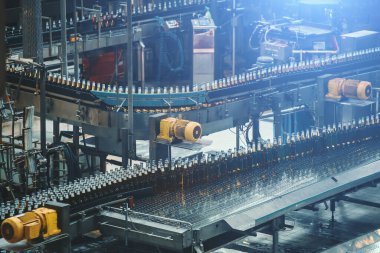Conveyor belt, beer in bottles, brewery factory industrial production line
