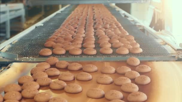 Industrial food factory or bakery, cookies on automated production line or conveyor belt, confectionery plant or bakehouse — Stock Video