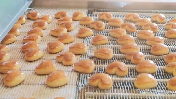 Usine alimentaire, biscuits sur chaîne de production ou bande transporteuse, processus de cuisson, confiserie ou boulangerie — Video