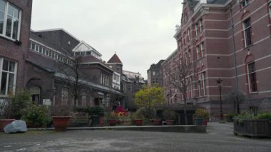 Geleneksel Amsterdam binaları Hollanda bahçe manzaralı