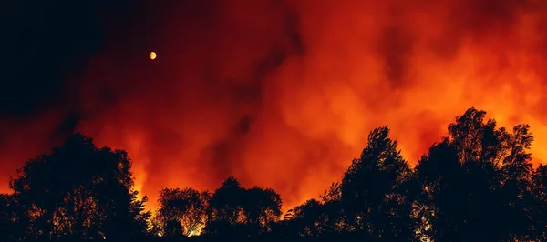 Incendios forestales por la noche, incendios forestales estación seca de verano, naturaleza ardiente, imagen de pancarta horizontal —  Fotos de Stock