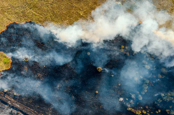 Горящая трава с огнем и дымом. Лесной пожар, вид сверху с беспилотника — стоковое фото