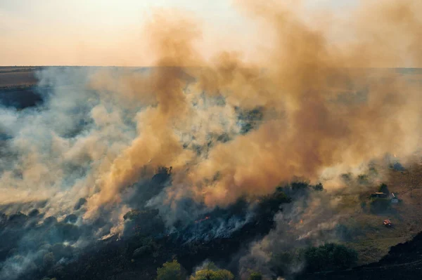 Καλοκαιρινή φωτιά. Φυσική καταστροφή. Καύση χόρτου με καπνό, δέντρα και το δάσος στην πυρκαγιά, εναέρια άποψη — Φωτογραφία Αρχείου