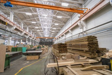 Büyük fabrika atölyesinde küf yapmak için odun yığınları var. Ahşap üretim endüstrisi