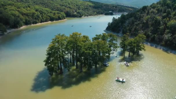 Árvores de cipreste em pé na água do lago, vista aérea. Belo parque natural — Vídeo de Stock