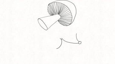 Şirin hayvanlar mantarlarla yürür ve aniden komik küçük canavarlara dönüşür. Kirpi, köpek ve kediler yavaş yavaş ürkütücü yaratıklara dönüşür. Oyuncak ve renkli bir çizgi filmde..