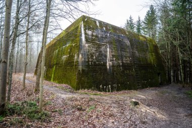 Dünya Savaşı sırasında Nazi Alman Yüksek Komutanlığı 'nın (OKH) eski karargahı olan Mamerki kompleksindeki devasa beton sığınaklardan birinin heybetli bir görüntüsü. 7 metre kalınlığında duvarları olan anıtsal yapı, hayır.