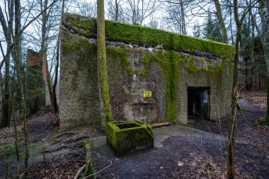 İkinci Dünya Savaşı sırasında Nazi Alman Ordusu Yüksek Komutanlığı 'nın (OKH) eski karargahı olan Mamerki kompleksindeki güçlendirilmiş dev beton sığınağın dış görünüşü. Yeşil yosunlarla kaplı anıtsal yapı, Masurian f 'sinin içine yerleşmiştir.
