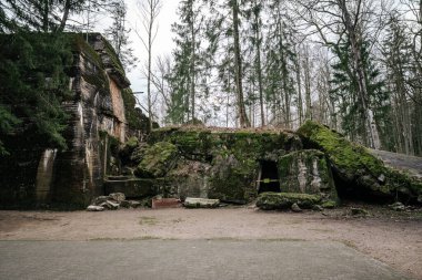 Hitler 'in Wolfschanze kompleksinin devasa, yok edilmiş ve yosun kaplı beton duvarlarının görüntüsü. Masurian Ormanı 'nda bulunan tarihi mekan, Nazi 2. Dünya Savaşı istihkamının kalıntılarını sergiliyor..