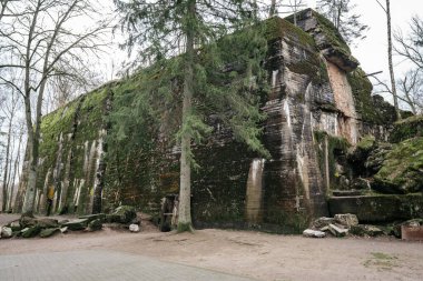 Tarihi Wolfschanze kompleksi içindeki devasa, yok edilmiş ve yosun kaplı beton duvarların görüntüsü. Ktrzyn yakınlarındaki sık bir ormanda yer alan bölgede, doğanın yavaş yavaş geri kazanmakta olduğu Nazi istihkamlarının kalıntıları sergilenmektedir..