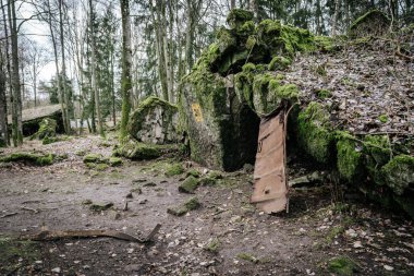 Wolfschanze kompleksindeki 20 numaralı sığınağın kalıntılarının ön görüntüsü. Patlamalarla yıkılan ve yosunlarla kaplı beton yapı, sık bir ormanda yer alıyor ve girişe dayanmış paslı bir demir kapıya sahip..