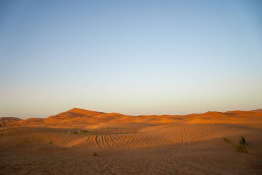 Güney Fas 'taki Merzouga yakınlarındaki görkemli Erg Chebbi kum tepelerinin çarpıcı manzarası. Görüntü, kumun sırtı ve dokularını şekillendiren ılık altın saat ışığını yakalar, açık bir gökyüzü altında derin gölgeler ve turuncu renkler yaratır. Şey...