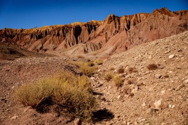 Telouet yakınlarındaki Ounila Vadisi boyunca çok renkli jeolojik oluşumların çarpıcı bir panoramik görüntüsü. Görüntü, yüksek kırmızı toprak tepeleri, toprak mineral yatakları ve seyrek çöl bitkileri arasındaki olağanüstü zıtlığı yakalar.