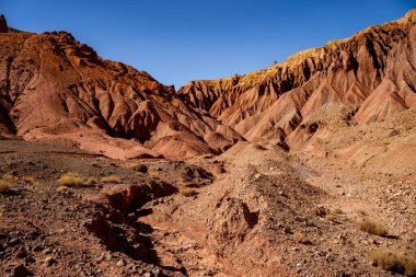 Telouet yakınlarındaki Ounila Vadisi boyunca çok renkli jeolojik oluşumların çarpıcı bir panoramik görüntüsü. Görüntü, yüksek kırmızı toprak tepeleri, toprak mineral yatakları ve seyrek çöl bitkileri arasındaki olağanüstü zıtlığı yakalar.