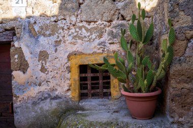 Lazio bölgesindeki ortaçağ köyü Calcata Vecchia 'nın büyüleyici ve detaylı bir çekimi. Fotoğraf, içinde dikenli bir armut kaktüsü (Opuntia) ile çevrili antik bir tuff taşı duvarında demir ızgara ve sarı çerçeve ile küçük bir pencere yakalar.