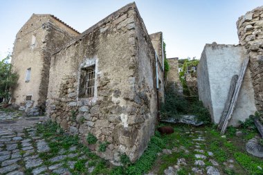 Lollove köyündeki taştan evler arasında dar bir caddeyi çağrıştıran bir manzara. Görüntü zamanla korunmuş tarım mimarisini yakalıyor, kaldırım taşı yolları, kil kaplamalı çatılar, ve Barbagi 'nin tipik sessiz atmosferi