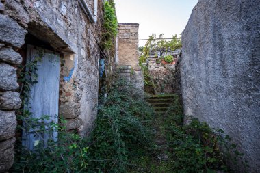 Ortaçağ 'ın Lollove köyündeki taş evler arasındaki geçidi anımsatan bir bakış açısı. Doğa böğürtlen çalıları ve yaban bitkileriyle sokakları ve taş merdivenleri işgal etti. Terk edilme durumunu ve zamansız cazibesini yansıtıyor.