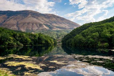 Güney Arnavutluk 'taki kristal berrak Mavi Göz pınarının yüksek açılı görüntüsü. Görüntü, Bistric nehrinin canlı turkuaz ve derin mavi sularını sergiliyor. Dalları sarkık ağaçlar ve sakin doğal ortamdaki yeşil su bitkileri tarafından çerçevelenmiş.