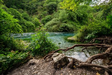 Arnavutluk 'un Saranda kenti yakınlarındaki kristal berrak Mavi Göz pınarının zemin katındaki manzarası. Fotoğrafta, Bistrica Nehri 'nin canlı turkuaz suları, önde yer alan belirgin ağaç kökleri ve bu eşsiz Akdeniz ormanını çevreleyen yemyeşil Akdeniz ormanı yer alıyor.