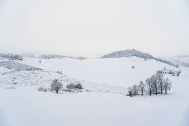 Panoramic view of snow-covered hills in the Langhe region, Piedmont. The rural landscape is completely submerged in fresh snow under a white sky, creating an atmosphere of deep winter silence and isolation.