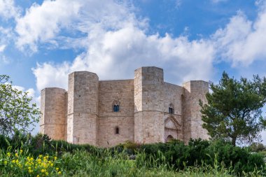 UNESCO 'nun Andria sitesindeki Castel del Monte manzarası. Ortaçağ şatosu, bahar bitkileri ve sarı çiçeklerle çerçevelenmiş bulutlu mavi bir gökyüzüne karşı duruyor. Iconic Apulian mimarisi. Parlak güneş ışığı altında doğa ile çevrili..