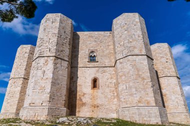 UNESCO 'nun Andria sitesindeki Castel del Monte manzarası. Ortaçağ şatosu, bahar bitkileri ve sarı çiçeklerle çerçevelenmiş bulutlu mavi bir gökyüzüne karşı duruyor. Iconic Apulian mimarisi. Parlak güneş ışığı altında doğa ile çevrili..