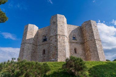 UNESCO 'nun Andria sitesindeki Castel del Monte manzarası. Ortaçağ şatosu, bahar bitkileri ve sarı çiçeklerle çerçevelenmiş bulutlu mavi bir gökyüzüne karşı duruyor. Iconic Apulian mimarisi. Parlak güneş ışığı altında doğa ile çevrili..