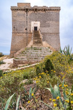 Porto Selvaggio 'daki Torre dell' Alto 'nun görkemli manzarası. 16. yüzyılın tahkimatı, parlak ve sakin bir günde İyon Denizi 'ne bakan sarımsı kır çiçekleri ve agavelerle çevrili devasa taş merdivenleri ile uçurumun üzerinde duruyor..