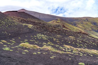 İtalya, Sicilya 'daki Etna Dağı manzarası. Kara volkanik toprak ve yeşil Saponaria sicula minderleri arasındaki zıtlık bulutlu bir gökyüzünün altında bir ay atmosferi yaratır. Güney yamaçlarında patlayan bir koni uzaklıktan görülebilir..